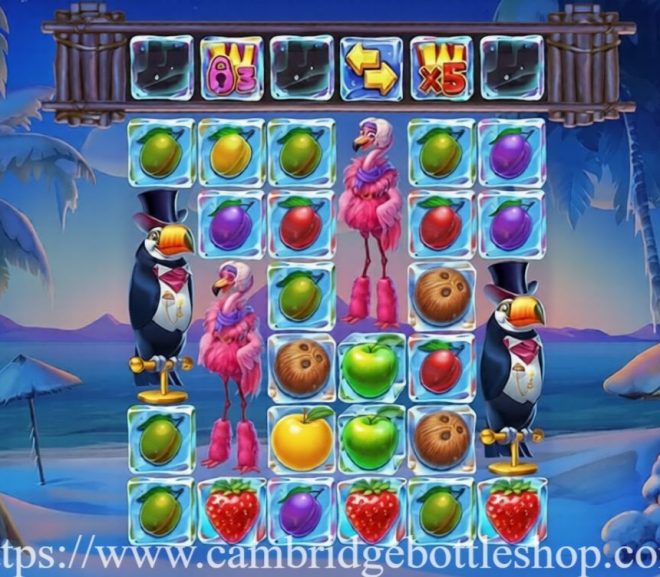 Tropicool: Kesegaran Tropis di Setiap Putaran